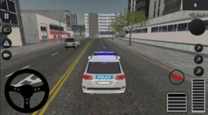 警察驾驶培训模拟器游戏图2