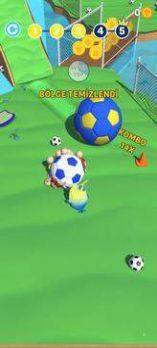 小鸟踢足球游戏安卓官方版图片1