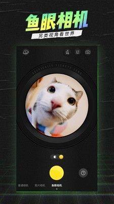 selfiecity特别的你相机app图3