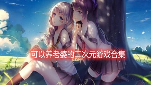 二次元养老婆的游戏合集