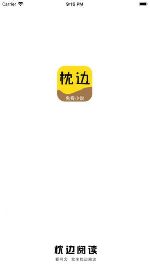 枕边阅读小说免费app下载图片1