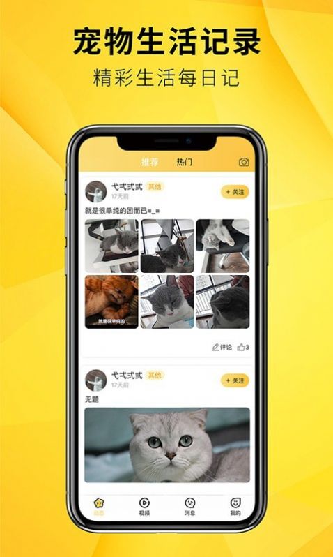 毛宠团app图3