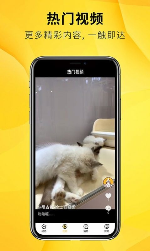 毛宠团app图2
