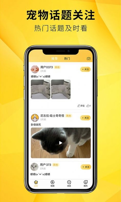 毛宠团app图1