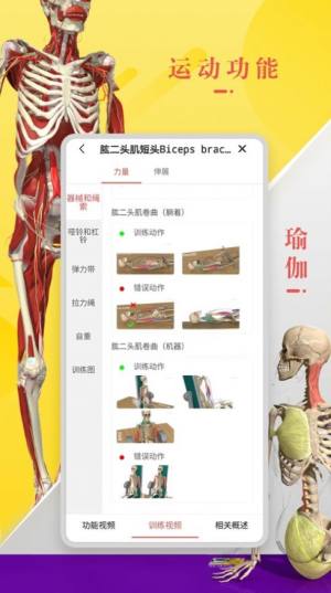 3Dbody解剖学软件图3