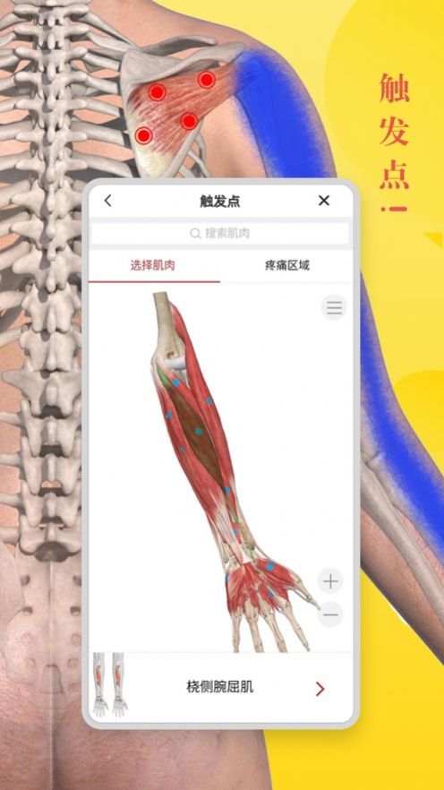 3Dbody解剖学专业版app软件下载图片1