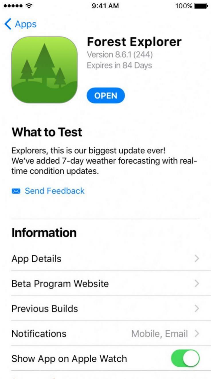 苹果testflight测试版软件app ios下载图片1