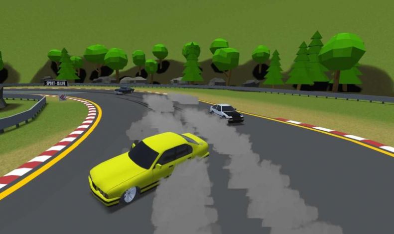 多人汽车漂移游戏官方最新版图片1