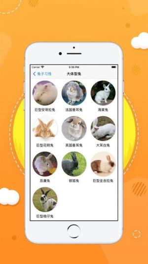 奥尼app图1