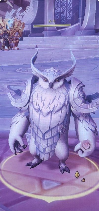魔兽世界人以群分任务接不了怎么回事？人以群分任务交接方法[多图]图片2