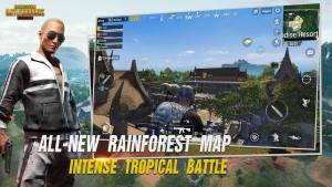 pubgmobile冰墩墩直装版图1