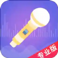 语聊音频变声器专业版免费app下载 v1.1.6
