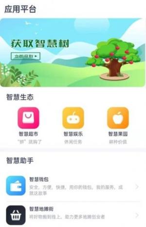 智慧之城app图2