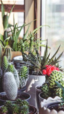 花友邦官方版app下载图片1