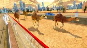 骆驼跑酷模拟器游戏图3