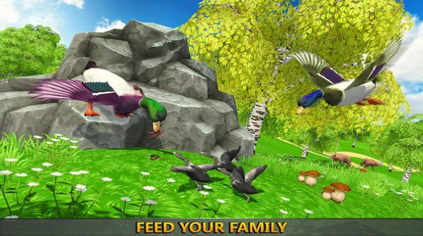 鸭子丛林模拟器游戏安卓版图片1
