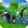 鸭子丛林模拟器游戏
