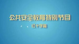 上海教育电视台公共安全教育特别节目在哪里看？公共安全教育特别节目观后感图片1