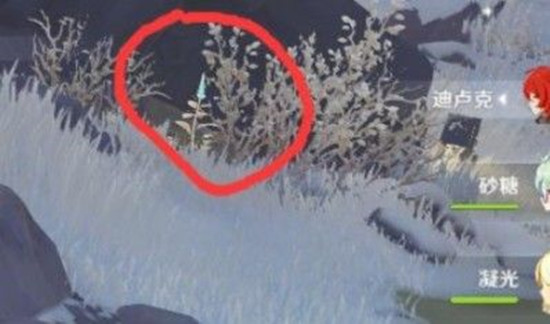 原神雪山迷踪狐狸投喂方法分享，雪山迷踪狐狸位置图文介绍[多图]图片3