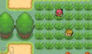 口袋妖怪超透黑2 2.8版中文金手指版下载最新版图片1