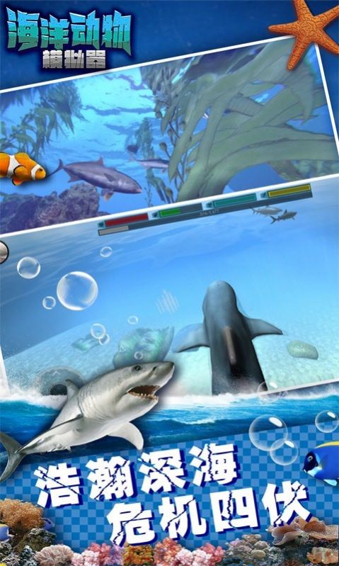 海洋动物模拟器游戏图3
