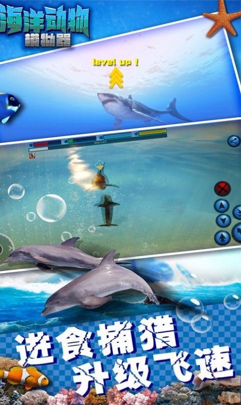 海洋动物模拟器游戏图1