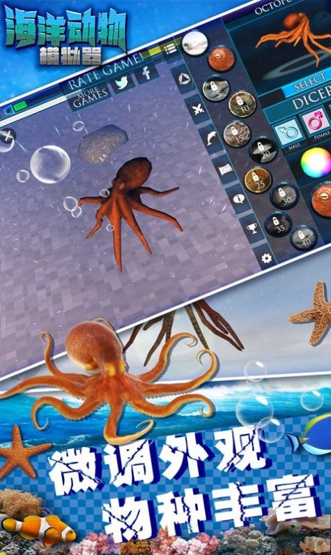 海洋动物模拟器游戏官方最新版图片2