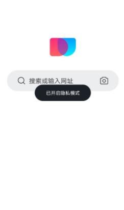 在简单搜索安卓版中如何开启隐私模式？简单搜索安卓版开启隐私模式的方法[多图]图片7