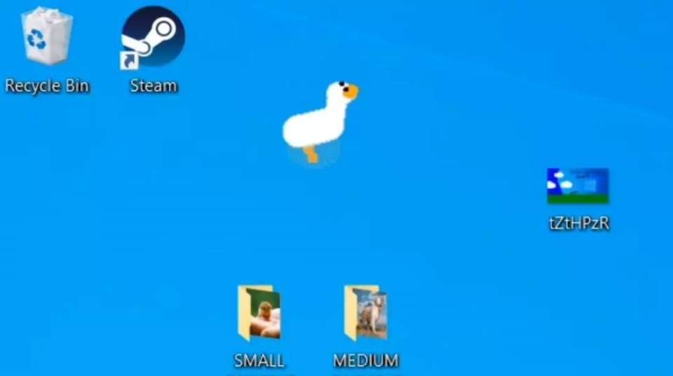 desktop goose游戏图3