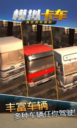 Truck Br Simulador中文版图3