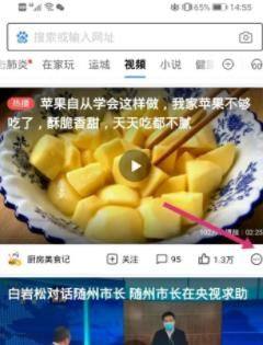 百度下载视频怎么保存到手机？百度下载视频保存到手机的方法图片3