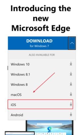 手机ios系统如何下载正版Edge浏览器？ios系统下载正版Edge浏览器的方法[多图]图片5