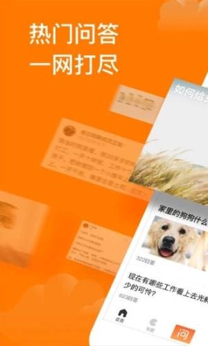 悟空问答官方最新版app图片1