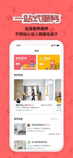 宠窝app手机版图片1