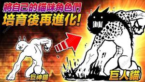 猫咪大战争9.4.2最新版图1