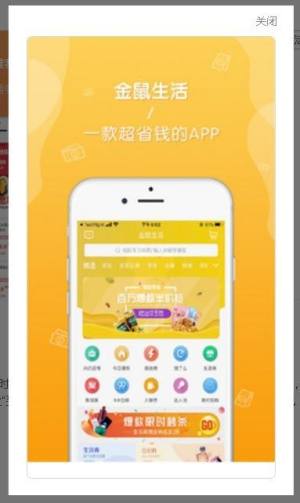 金鼠生活app图2