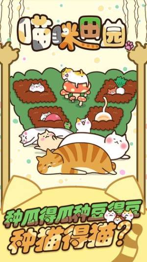 猫咪的小院游戏图1