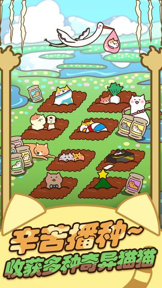猫咪的小院游戏图3