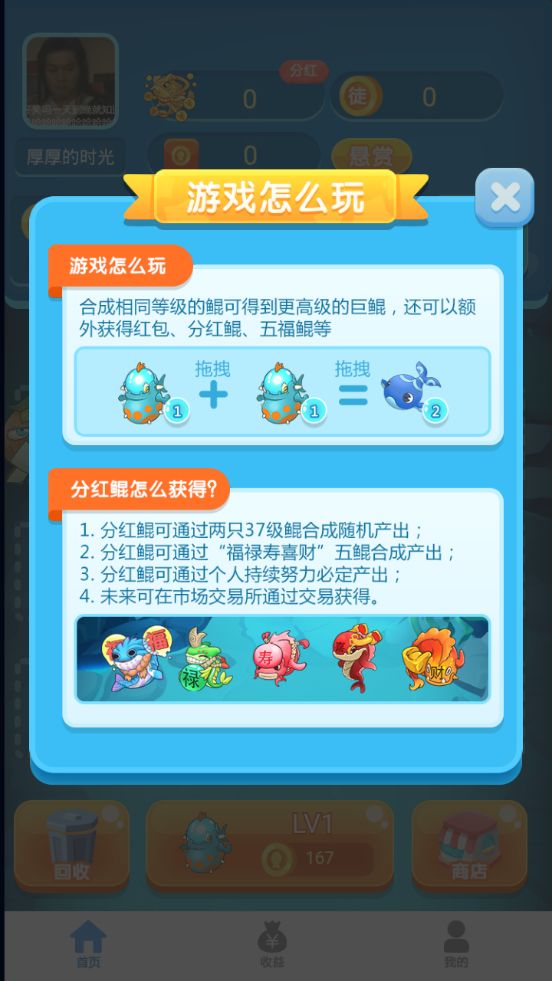 阳光养鲲app图2