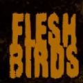 纸鱼解说flesh birds游戏中文版 v1.0