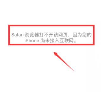苹果手机safari尚未接入互联网怎么设置？设置方法分享[多图]图片1