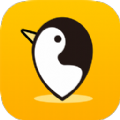企鹅游记app安卓手机版 v1.0