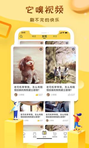 它嗅宠物商城助力免单码官方最新版app图片1