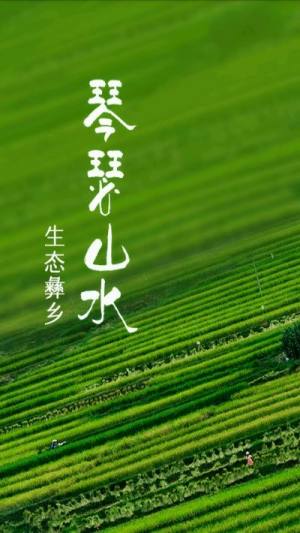 彝韵峨山客户端app官方版图片2