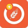 麦子微客官方版app v1.0