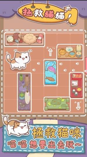 拯救猫猫游戏安卓版图片1