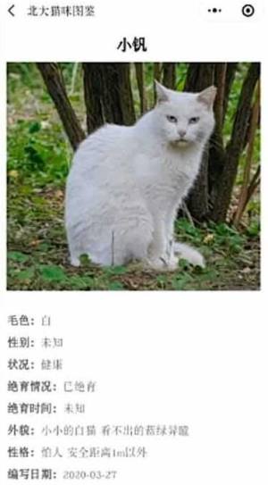 北大猫咪图鉴app图3