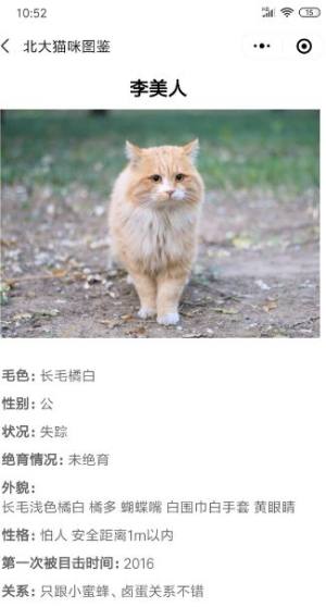 北大猫咪图鉴app图1