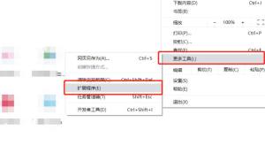 Chrome谷歌浏览器如何安装插件？谷歌浏览器安装插件的方法图片2