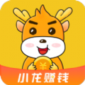 小龙 app